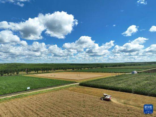 皇冠信用开户_立秋农事正当忙