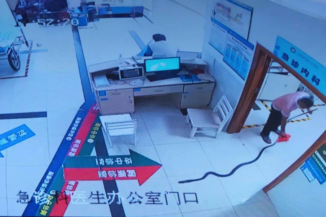 谢周三vs利兹联_眼镜王蛇咬伤老人谢周三vs利兹联，家属拖两米多长的“凶手”冲进医院！“拎蛇就医”可取吗？