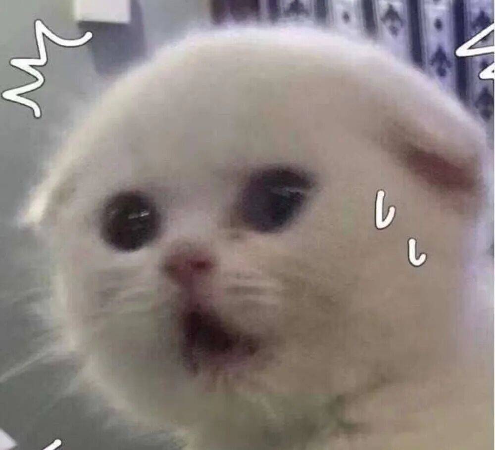 皇冠信用网怎么申请_上海一对婆媳因阻碍加梯皇冠信用网怎么申请，与五位邻居“大打出手”！