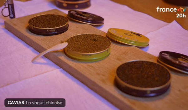 皇冠比分_“在法国皇冠比分，可以毫无顾虑地说，这些鱼子酱产自中国”